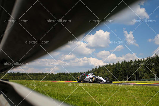 F1 2015 Felipe Massa - Williams - 20150084