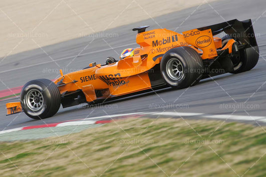 F1 2006 Juan Pablo Montoya - McLaren - 20060077