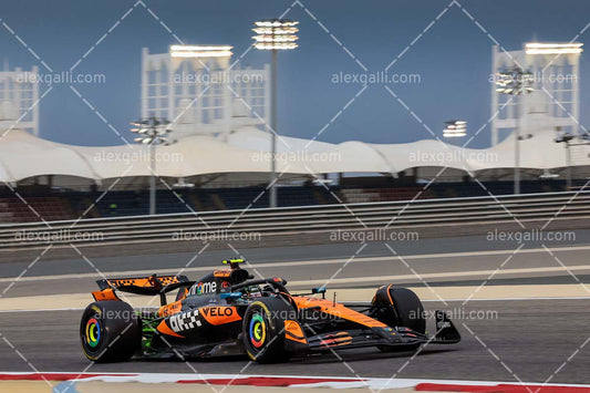 F1 2025 Lando Norris - McLaren - 202500130