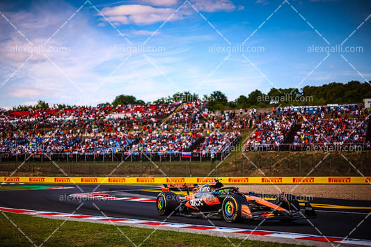 F1 2025 Lando Norris - McLaren - 202514006