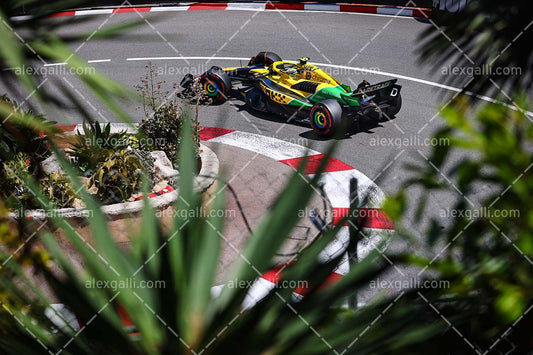 F1 2024 - Lando Norris - McLaren - 240104