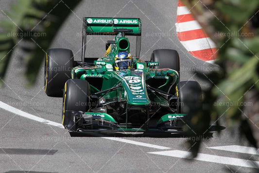 F1 2013 Charles Pic - Catheram - 20130035