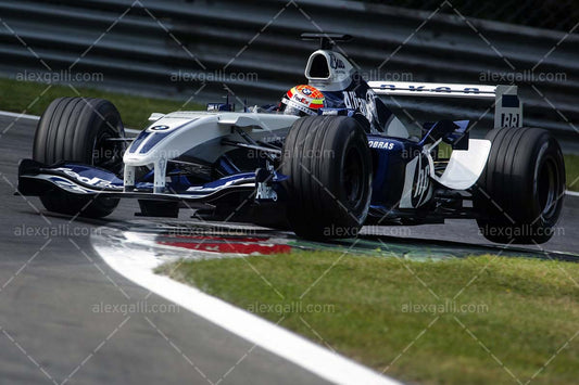 F1 2004 Antonio Pizzonia - Williams FW26 - 20040089