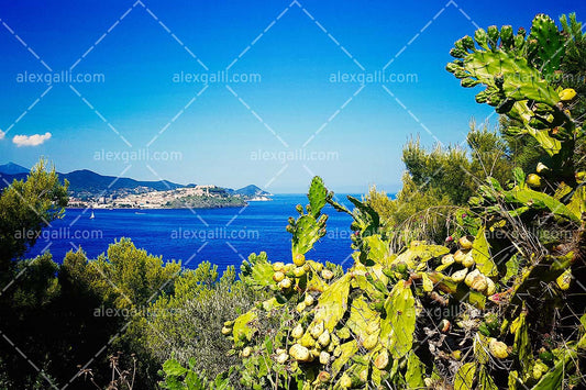 Porto Azzurro | Toscana