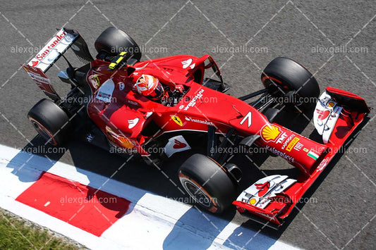 F1 2014 Kimi Raikkonen - Ferrari - 20140091
