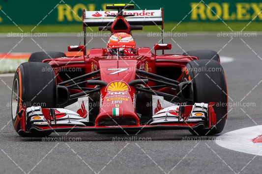 F1 2014 Kimi Raikkonen - Ferrari - 20140094