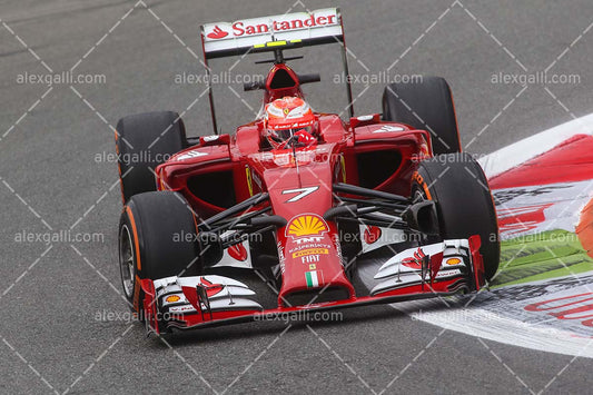 F1 2014 Kimi Raikkonen - Ferrari - 20140095