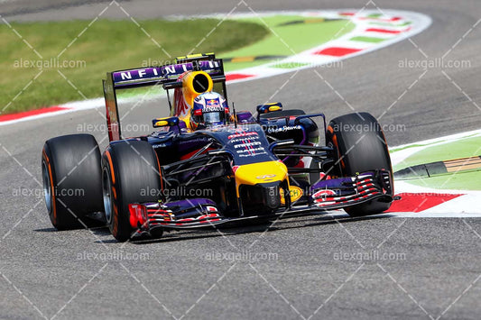 F1 2014 Daniel Ricciardo - Red Bull - 20140099