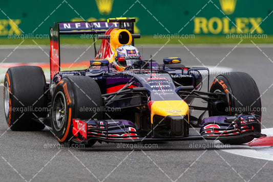 F1 2014 Daniel Ricciardo - Red Bull - 20140100