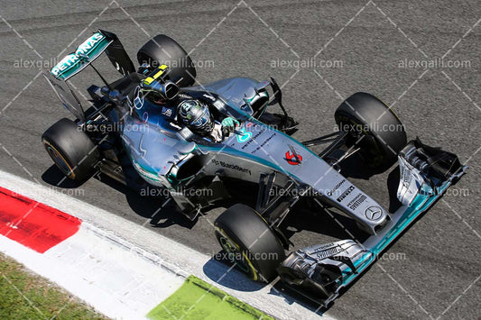 F1 2015 Nico Rosberg - Mercedes - 20150127