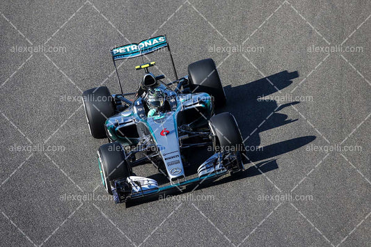 F1 2015 Nico Rosberg - Mercedes - 20150149