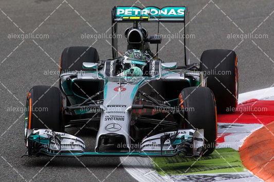 F1 2014 Nico Rosberg - Mercedes - 20140104