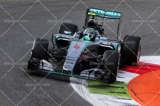 F1 2015 Nico Rosberg - Mercedes - 20150128
