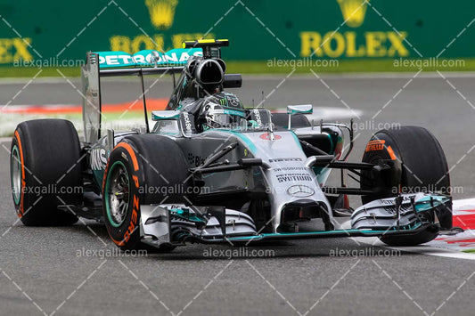 F1 2014 Nico Rosberg - Mercedes - 20140105