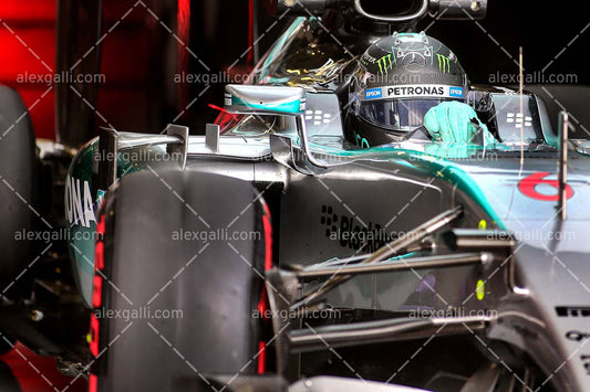 F1 2015 Nico Rosberg - Mercedes - 20150131