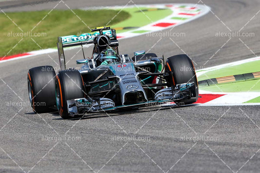 F1 2014 Nico Rosberg - Mercedes - 20140107