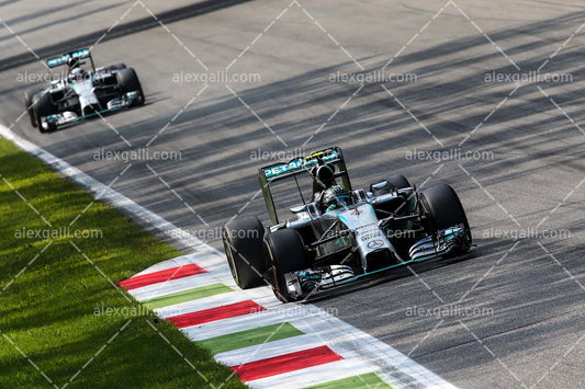 F1 2014 Nico Rosberg - Mercedes - 20140111