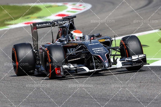 F1 2014 Adrian Sutil - Sauber - 20140113