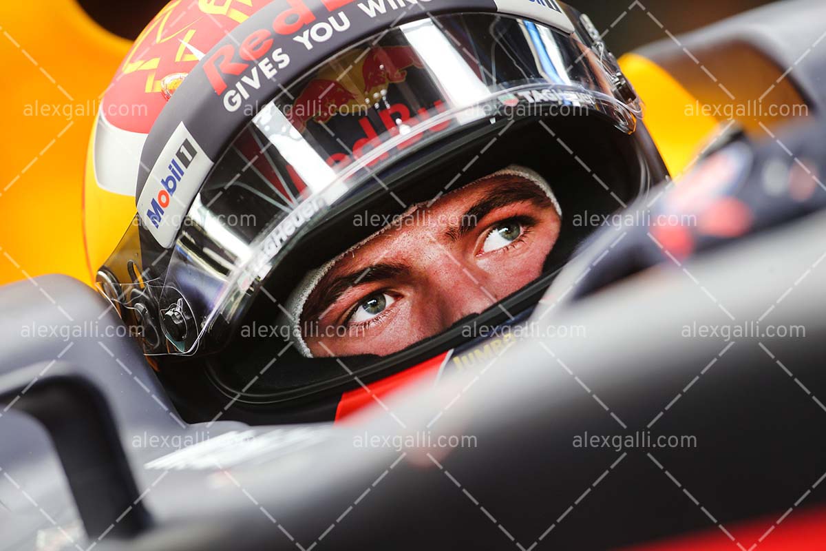 F1 2017 Max Verstappen - Red Bull - 20170106