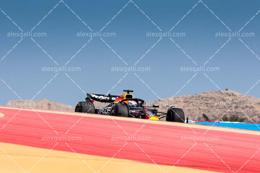 F1 2025 Max Verstappen - Red Bull - 202500219
