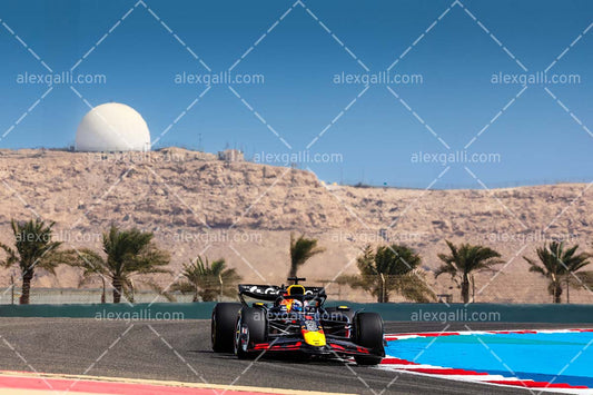 F1 2025 Max Verstappen - Red Bull - 202500222