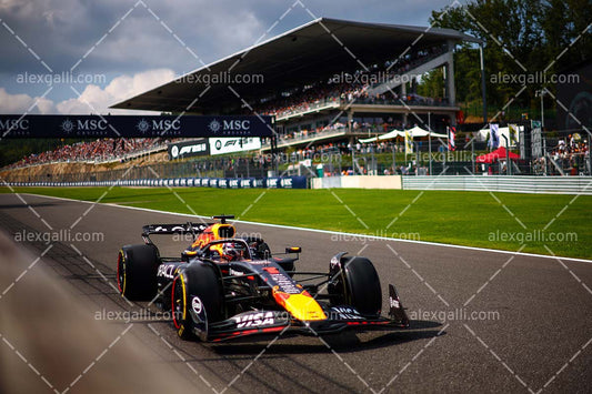 F1 2025 Max Verstappen - Red Bull - 202513025