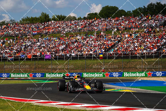 F1 2024 - Max Verstappen - Red Bull - 240183