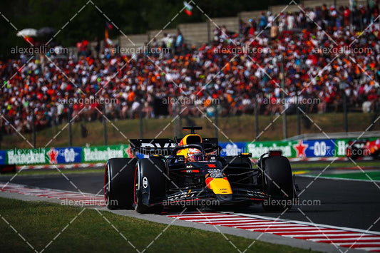 F1 2024 - Max Verstappen - Red Bull - 240184