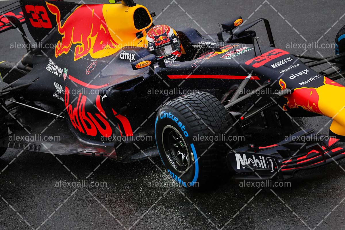 F1 2017 Max Verstappen - Red Bull - 20170102