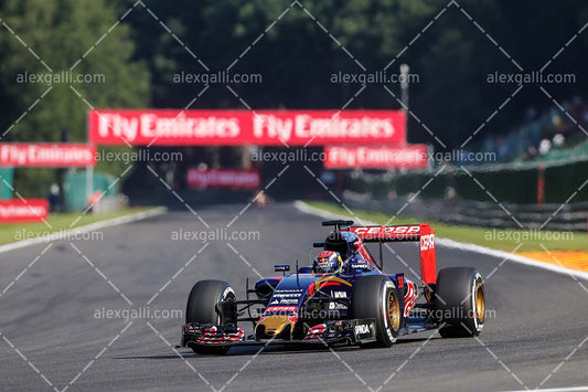 F1 2015 Max Verstappen - Toro Rosso - 20150169