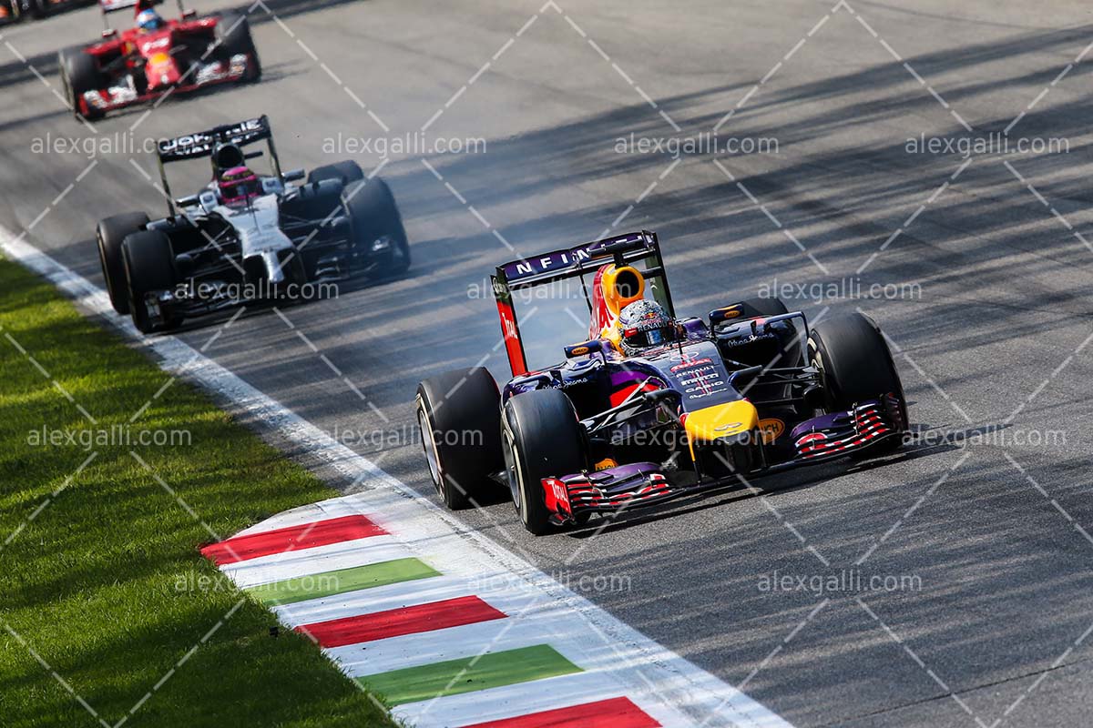 F1 2014 Sebastian Vettel - Red Bull - 20140120