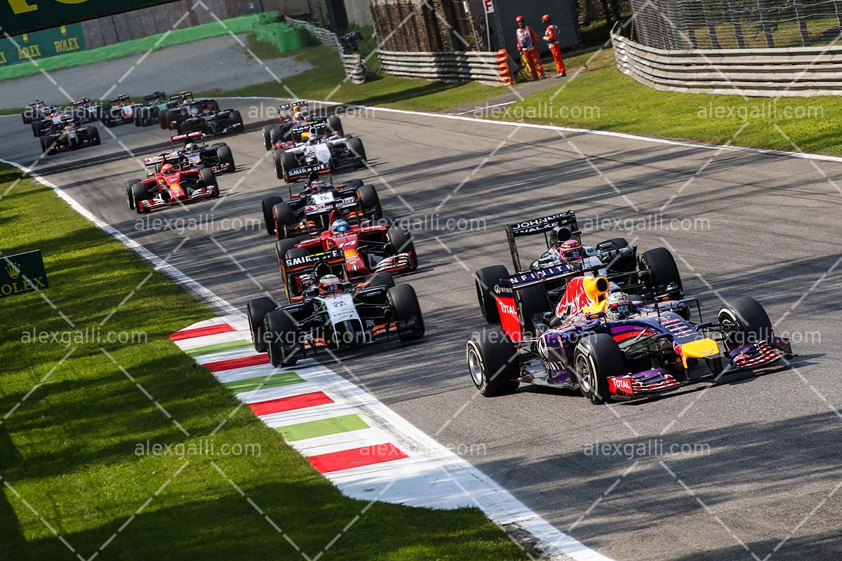 F1 2014 Sebastian Vettel - Red Bull - 20140121