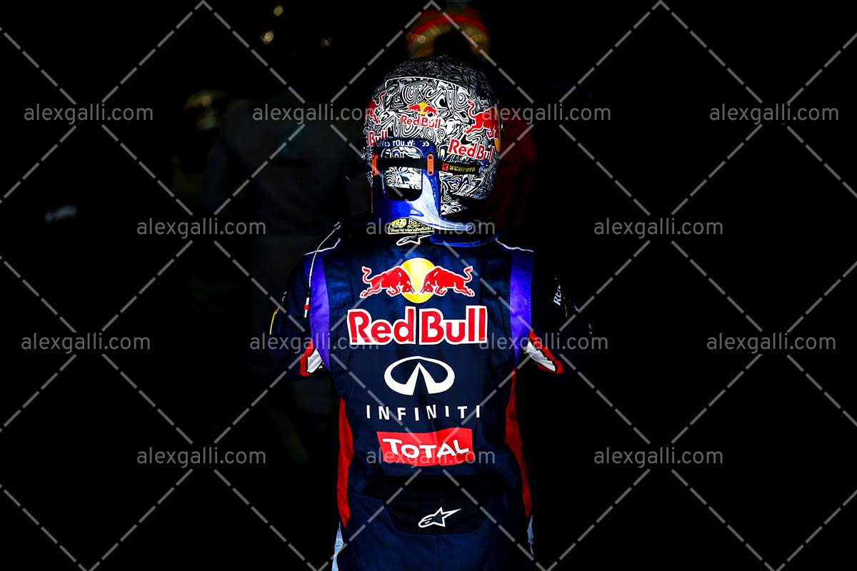 F1 2014 Sebastian Vettel - Red Bull - 20140122
