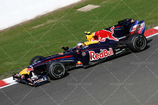 F1 2009 Sebastian Vettel - Red Bull - 20090174
