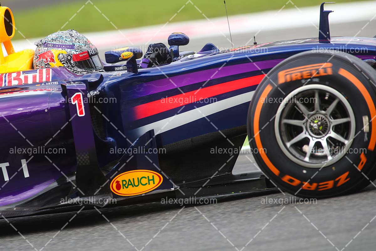F1 2014 Sebastian Vettel - Red Bull - 20140126 – alexgalli.com - F1 ...