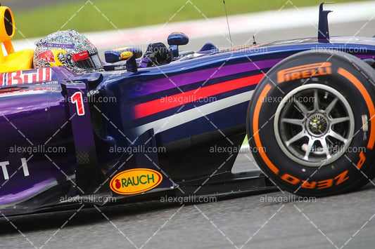 F1 2014 Sebastian Vettel - Red Bull - 20140126