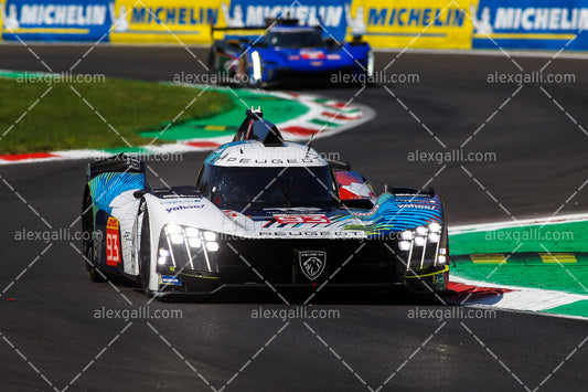 WEC 2023 DiResta-Jensen-Vergne - Peugeot - W20230026