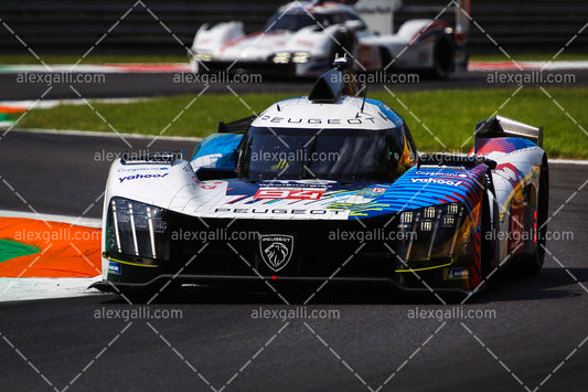 WEC 2023 Duval-Menezes-Muller - Peugeot - W20230027