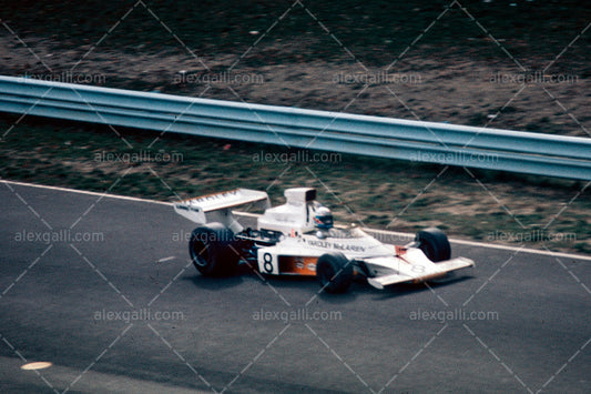 F1 1973 Peter Revson - McLaren M19 - 19730014