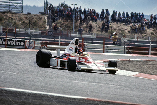 F1 1975 Emerson Fittipaldi - McLaren M23 - 19750026