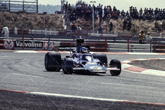 F1 1975 Ronnie Peterson - Lotus 72E - 19750050