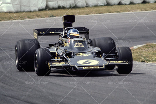 F1 1975 Ronnie Peterson - Lotus 72E - 19750051