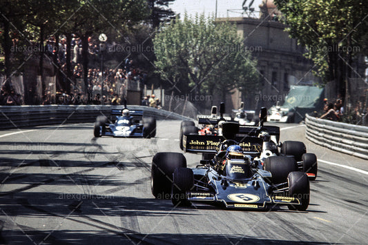 F1 1975 Ronnie Peterson - Lotus 72E - 19750048