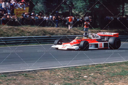 F1 1976 James Hunt - McLaren M23 - 19760072