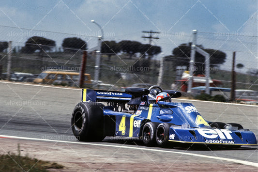 F1 1976 Patrick Depailler - Tyrrell P34 - 19760051