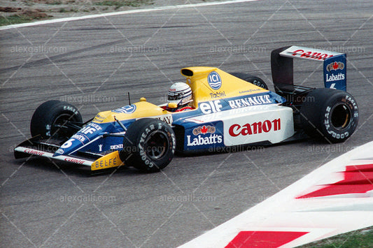 F1 1990 Riccardo Patrese - Williams FW13B - 19900045