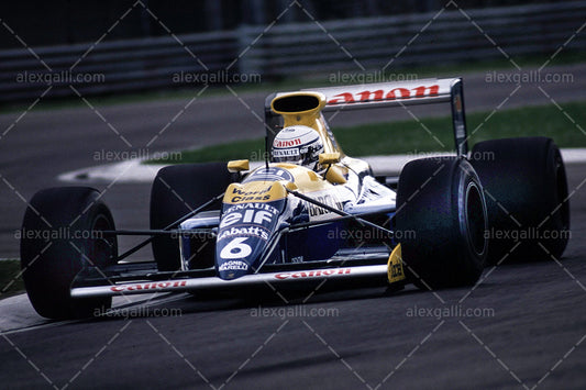 F1 1990 Riccardo Patrese - Williams FW13B - 19900046
