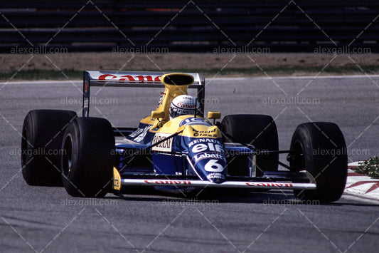 F1 1990 Riccardo Patrese - Williams FW13B - 19900048