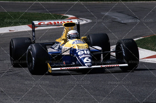 F1 1990 Riccardo Patrese - Williams FW13B - 19900051