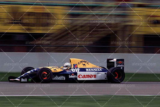 F1 1992 Riccardo Patrese - Williams FW14B - 19920039